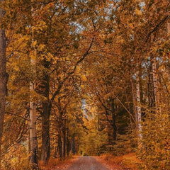 Collection image for: PERFUMES DE OTOÑO