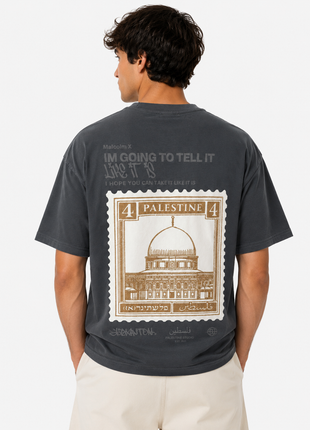 CAMISETA PALESTINA GRIS VERDOSO